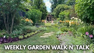 July Garden Tour  Lilies in Pots Potager Garden Edible Groundcovers Hot Color Landscape [upl. by Naryt]