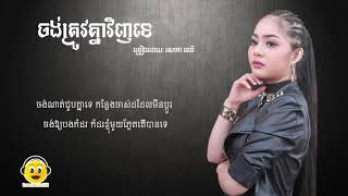 ចង់ត្រូវគ្នាវិញទេ  សោភា ទេពី  Jong Trov Knea Vinh Te  Sophea Tepy  LYRIC [upl. by Amairam175]