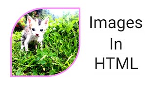 How to Insert Image in HTML using Notepad Step By Step [upl. by Uwton995]