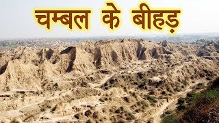 Beehad Ravines of Chambal चम्बल के बीहड़ जिसमे कभी शेर हुआ करते थे डकैत Sarokar [upl. by Nitsua]