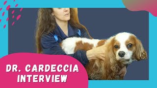 Canine Rehab for Neurological Disorders  Cavalier King Charles Physical Therapy for SMCM [upl. by Enilrac]