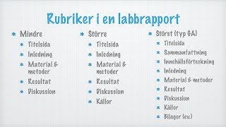 Hur man skriver en labbrapport [upl. by Wu]