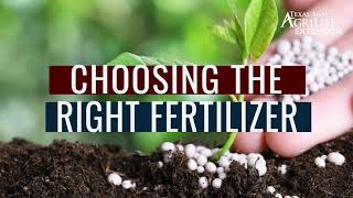 Choosing the right fertilizer for vegetable gardens [upl. by Tess53]