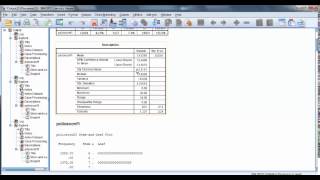 Confidence Intervals in SPSS [upl. by Oxford594]