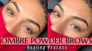 Ombré Brows Healing Process  1 Month After😻 [upl. by Aitnic210]