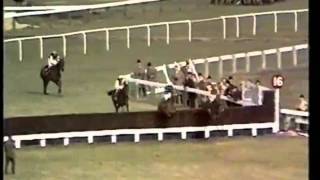 LEscargot The 1970 Cheltenham Gold Cup [upl. by Nairehs283]