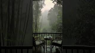 Tea Garden whitenoise relax rain lofi mood chill aesthetic garden nature short snow [upl. by Romito]