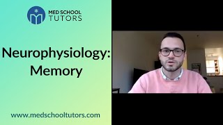 Memory High Yield Neurophysiology for the USMLE amp COMLEX Exams [upl. by Evilo556]