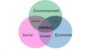 G1 Les enjeux du développement durable [upl. by Asilegna]