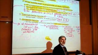 BIOLOGY CYTOLOGY PART 3 by Professor Fink [upl. by Htebharas]