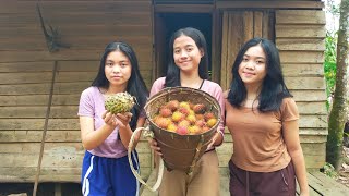 Suku Dayak  Panen Rambutan Hingga Mancing Malam Bersama Gadis Dayak [upl. by Corrinne]