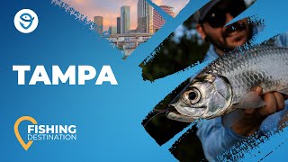 Tampa Bay Fishing All You Need to Know  FishingBooker [upl. by Ardnaed420]