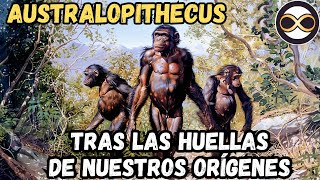 AUSTRALOPITHECUS  Un Gran Salto Hacia la Evolución Humana [upl. by Florio392]