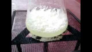 How to make Potassium Chlorate  KClO3  from bleach [upl. by Suiratnauq]