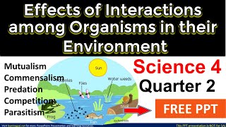 Effects of interactions among organism in their environment [upl. by Hctud]