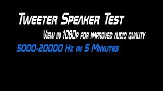 Tweeter Speaker Test [upl. by Garling]