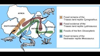 Biogeography [upl. by Erdnua561]