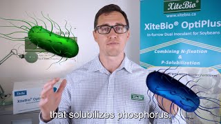 Sales Series  What is XiteBio® OptiPlus® [upl. by Eidda]