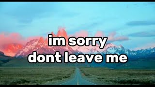 IM SORRY DONT LEAVE ME lyrics  song by dylan mathew and slander [upl. by Yelyac172]