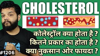 What Is Cholesterol In Hindi  HDL amp LDL Explained [upl. by Gasperoni]