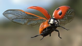 Ladybird Flight Test  3d model [upl. by Ayokahs]