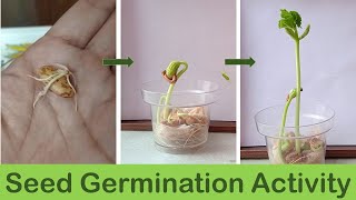 How to start seeds indoors with step by step instructions and demonstrations Northlawn Flower Farm [upl. by Scevour]