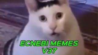 ECNEBI MEMES V37 [upl. by Eloken973]