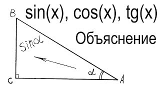 Что такое синус косинус тангенс и котангенс объяснение [upl. by Anoirtac]