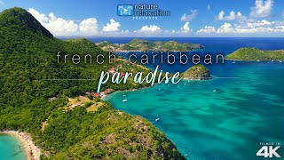 French Caribbean Island by Drone 4K Short Nature Relaxation Video w Guitar Music  Ocean Sounds [upl. by Eilssel]