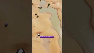 Sahara Desert floods [upl. by Spalding719]