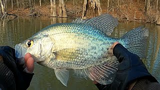 Crappie fishing in the Winter [upl. by Natalee]