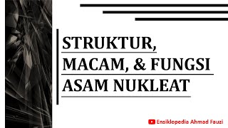 Struktur Macam dan Fungsi Asam Nukleat DNA dan RNA [upl. by Novets]