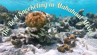 The Best beach for Snorkeling in Mahahual Costa Maya Mexico [upl. by Rockefeller]