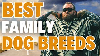 The BEST Family Dog Breeds [upl. by Sinoda924]