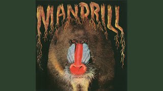 Mandrill [upl. by Lahcym]