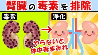 腎臓の働きを高めれば体に溜まった毒素や老廃物はゴッソリ取れる！腎機能を高めてデトックス【腎臓に良い食べ物】しんどい時疲れた時は見て [upl. by Eenot953]