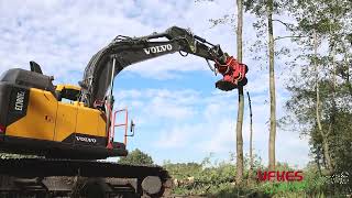 Cirkelzaag Bomengrijper  Groeneveldt Grijpers  Ufkes Greentec  Tree Felling [upl. by Dlanod]