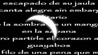 Carlos Vives Noche Sin Lucero con letra [upl. by Akimad168]