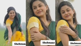 Shehnaaz gill new beginning start new date video।। [upl. by Ynney]