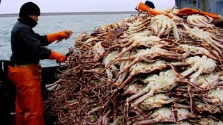 Awesome Big King Crab Fishing on The Sea  Catching And Processing King Crab On The Morden Boat 06 [upl. by Biagi921]