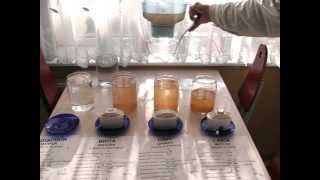 Aquaphor Brita Dafi Laica Water Filter Test  Part 3 [upl. by Mohl346]