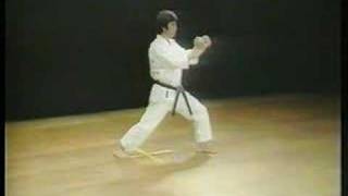 Jion  Shotokan Karate [upl. by Ava839]