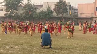 Cultural Dance Performance Unity in Diversity Malviya Shiksha Sadan sonepat dance culturalevent [upl. by Hollinger]