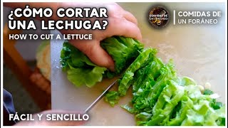 Cómo cortar Lechuga para ensalada  How to Cut Lettuce [upl. by Fraase680]