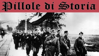 582 Il mattatoio jugoslavo nella Seconda Guerra Mondiale Pillole di Storia [upl. by Hillie]