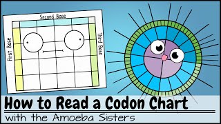 How to Read a Codon Chart [upl. by Asenab]