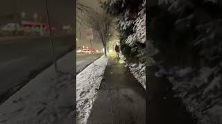 Tormenta de nieve en New York [upl. by Akir]