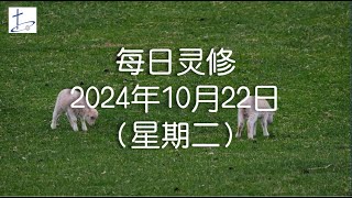 每日灵修2024年10月22日（星期二）腓立比书3章3至6节 English translation in description box [upl. by Hollister]