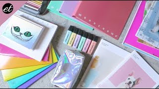 Mega HAUL di CARTOLERIA  Stationery Haul [upl. by Ahsino]