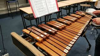 Pizzicato Polka Higher Xylophone  Larkhall Academy [upl. by Trainor]